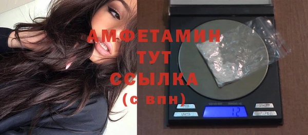 мдпв Верея