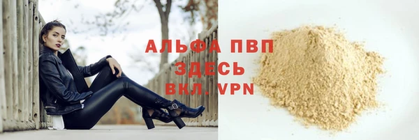 мдпв Верея