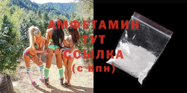 мдпв Верея