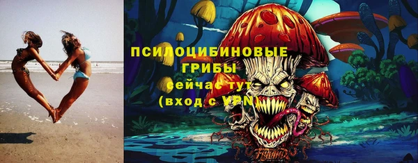 мдпв Верея