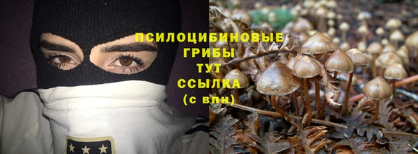 мдпв Верея