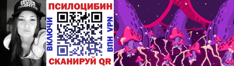 блэк спрут ONION  Владикавказ  Псилоцибиновые грибы Psilocybine cubensis 